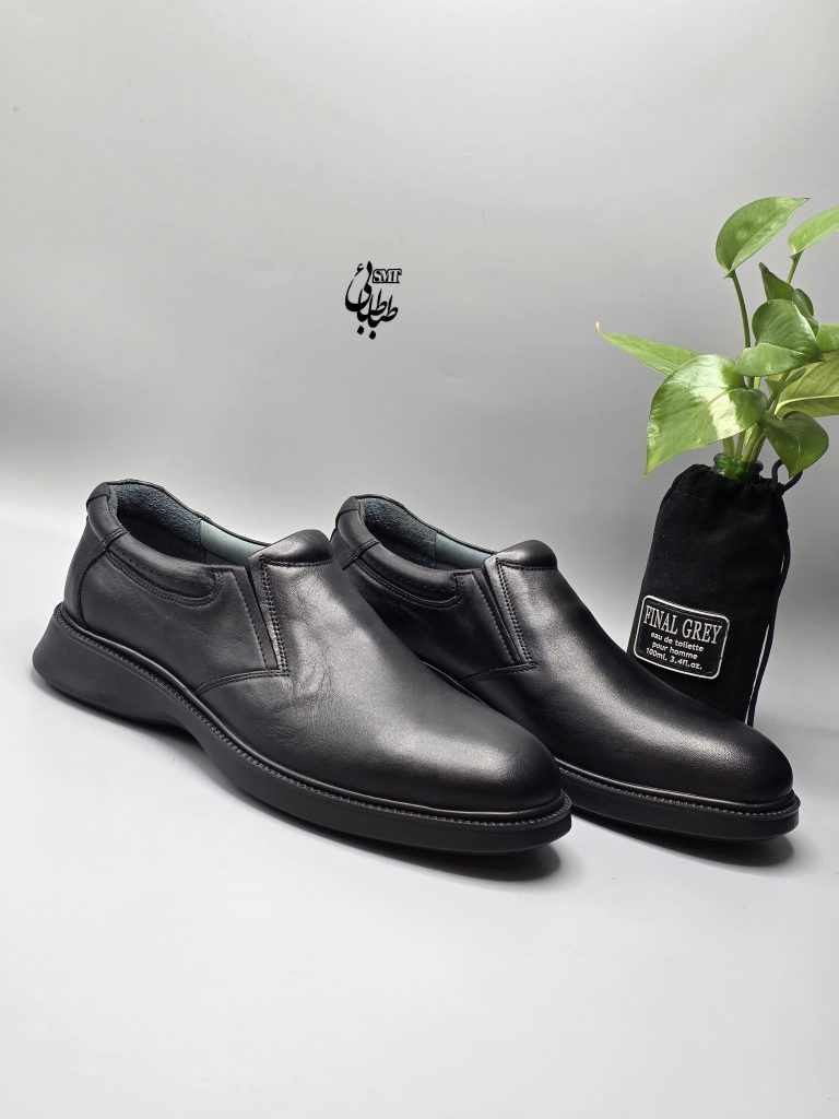 کفش مردانه عدالت مدل اکو کد 892