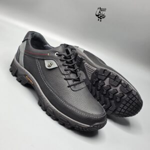 اسپرت مردانه چرم طبیعی انرژی دلپا کد 846