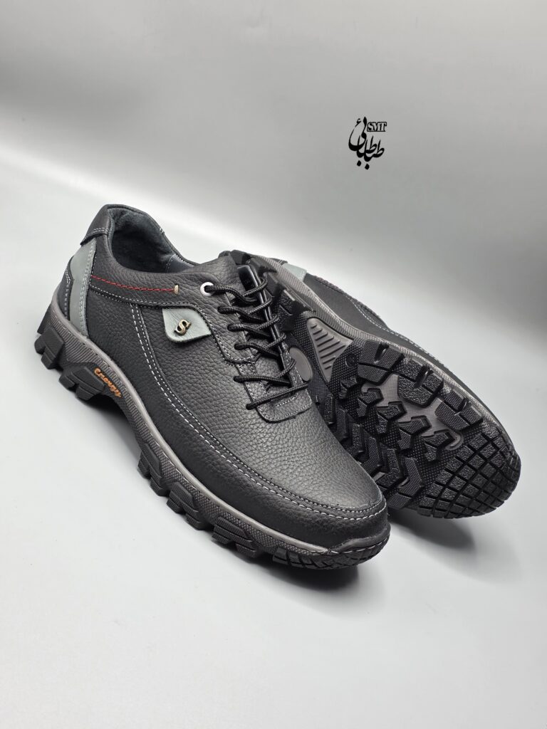 اسپرت مردانه چرم طبیعی انرژی دلپا کد 846